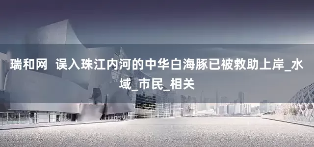 瑞和网  误入珠江内河的中华白海豚已被救助上岸_水域_市民_相关