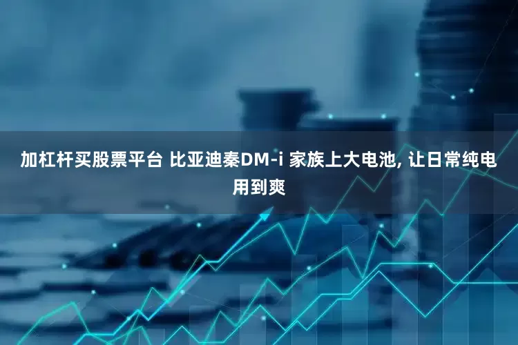 加杠杆买股票平台 比亚迪秦DM-i 家族上大电池, 让日常纯电用到爽